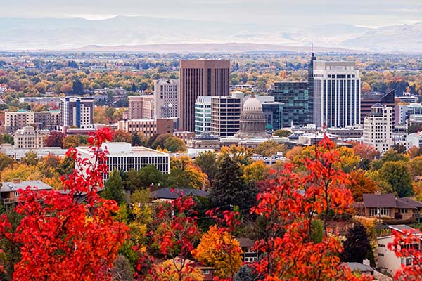 Fall trees with city skyline