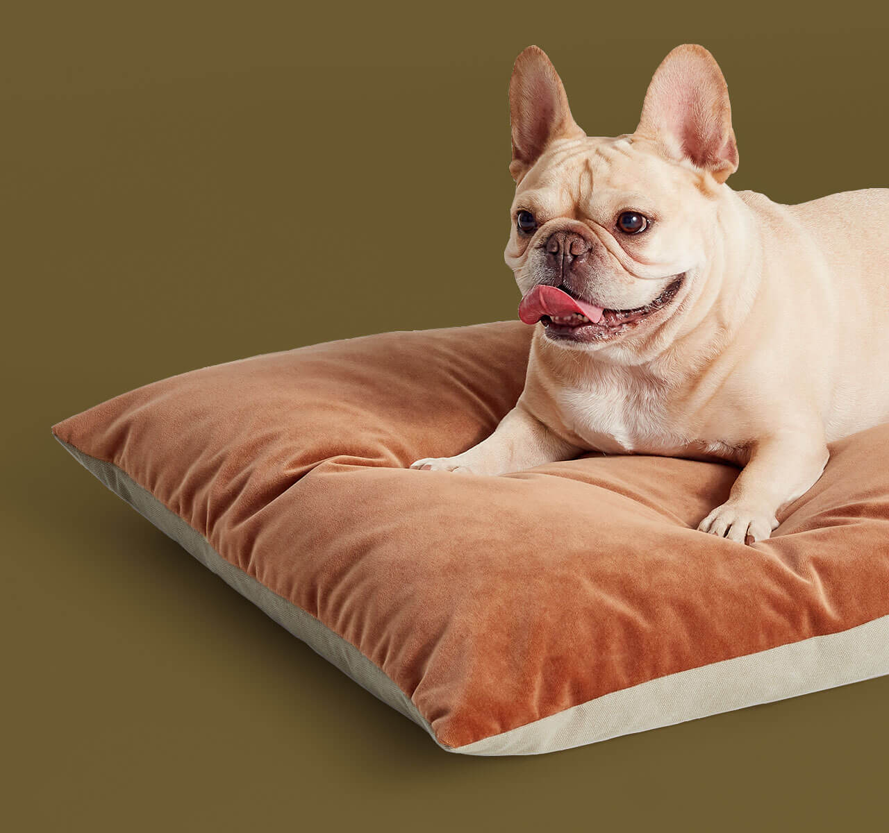 Signal Small Pet Bed