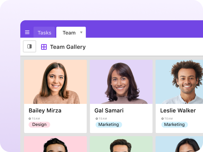 Gallery of team pictures
