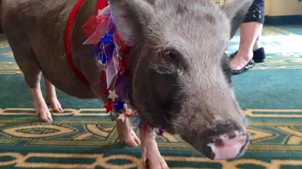 How did both parties rack up $22B in pork barrel spending?