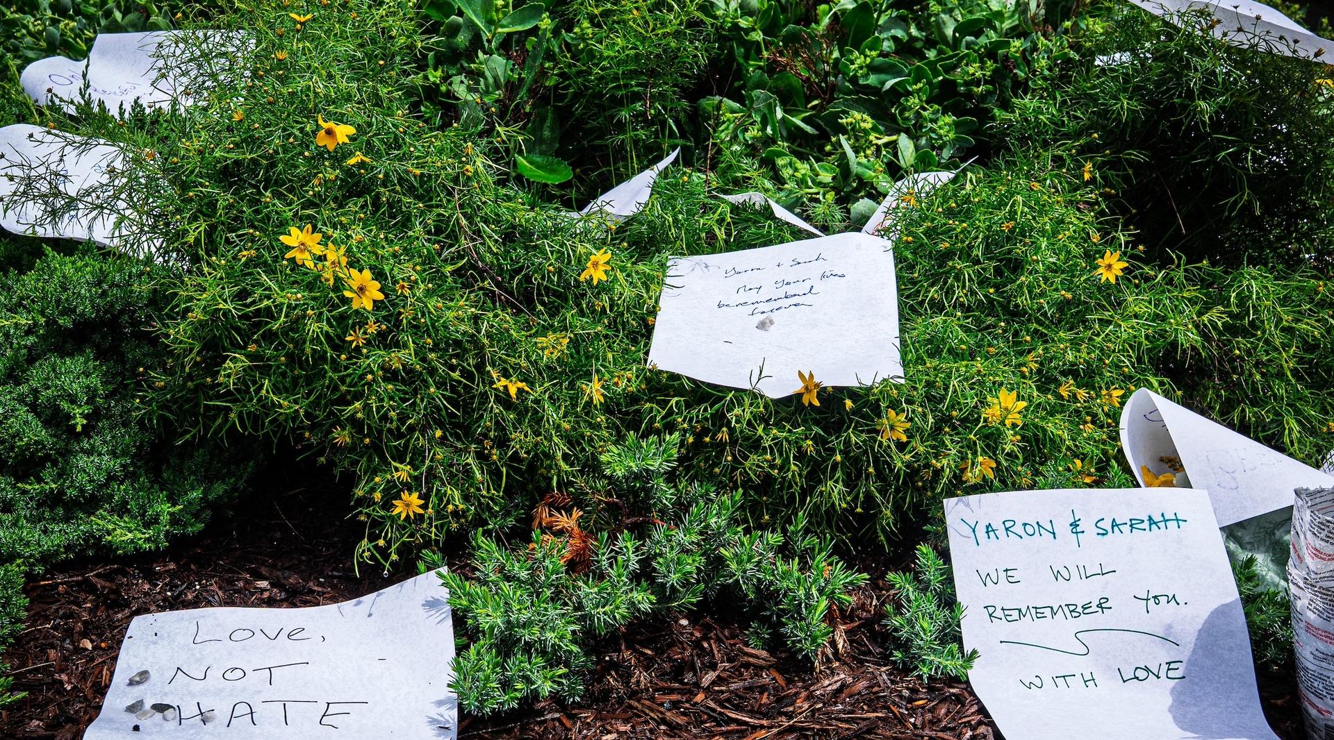 The D.C. murders: Antisemitism or the globalization of the war in Gaza?