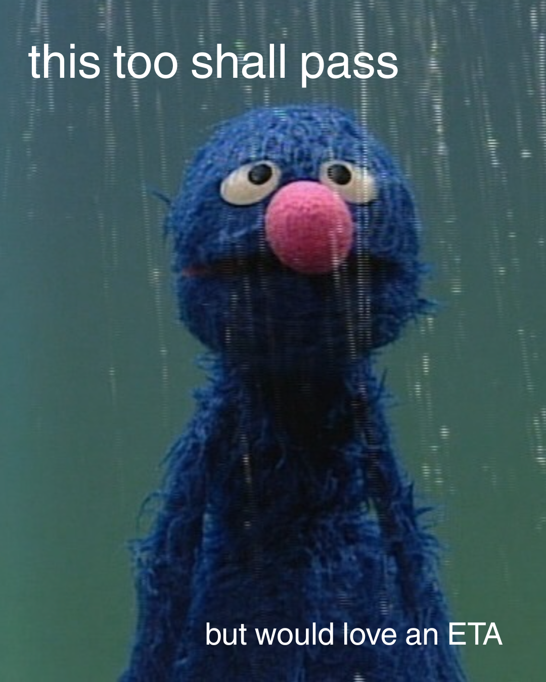 Grover in the rain