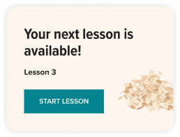 Your next lesson is available!