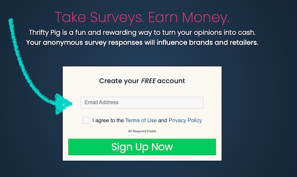 Thrifty Pig email signup box