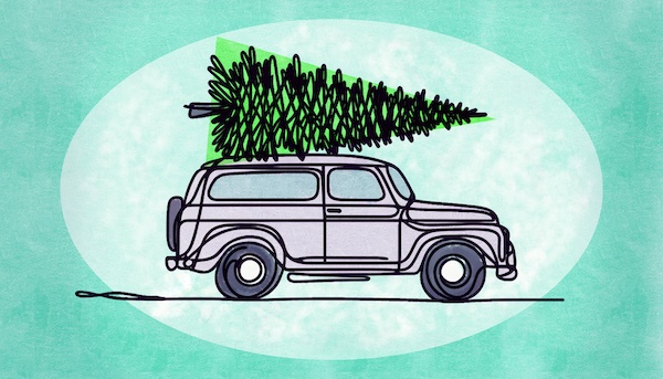 A Christmas tree strapped to the top of a car driving through a wintry landscape