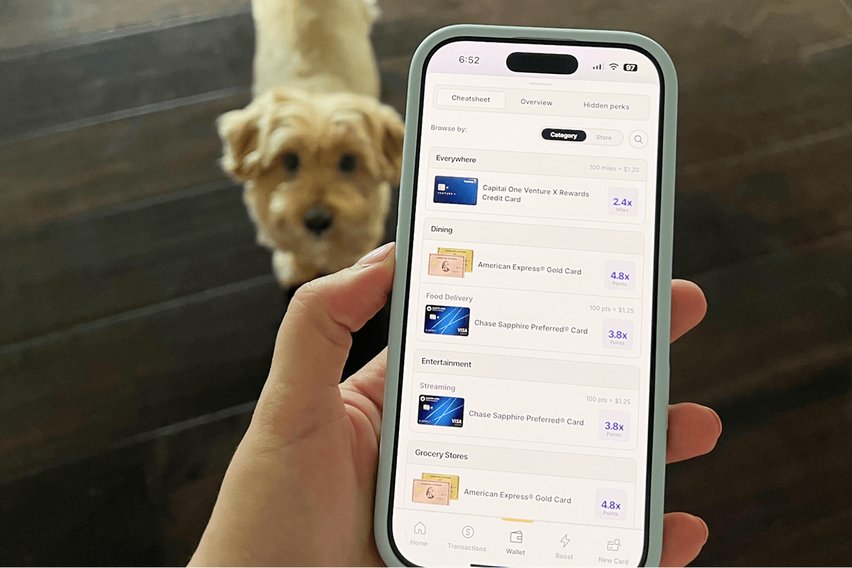 a person using Kudos with a cute dog looking on in the background