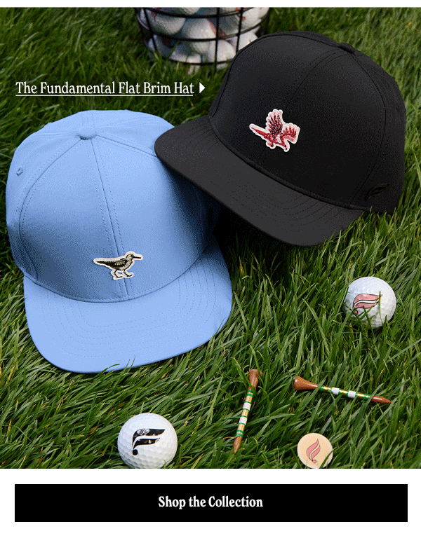 Shop The Collection