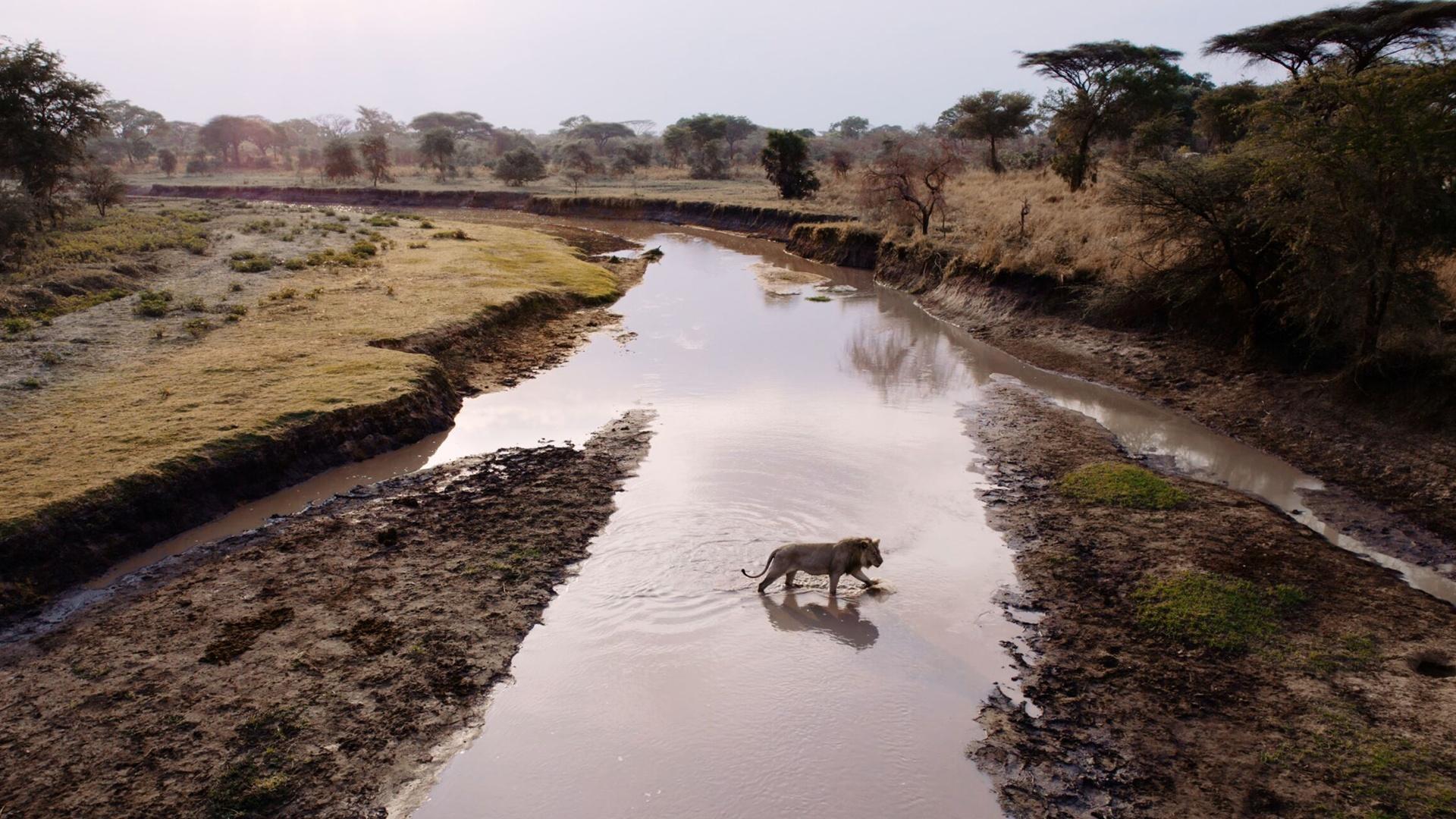Katavi: Africa's Fallen Paradise