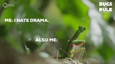 Drama Sign Up