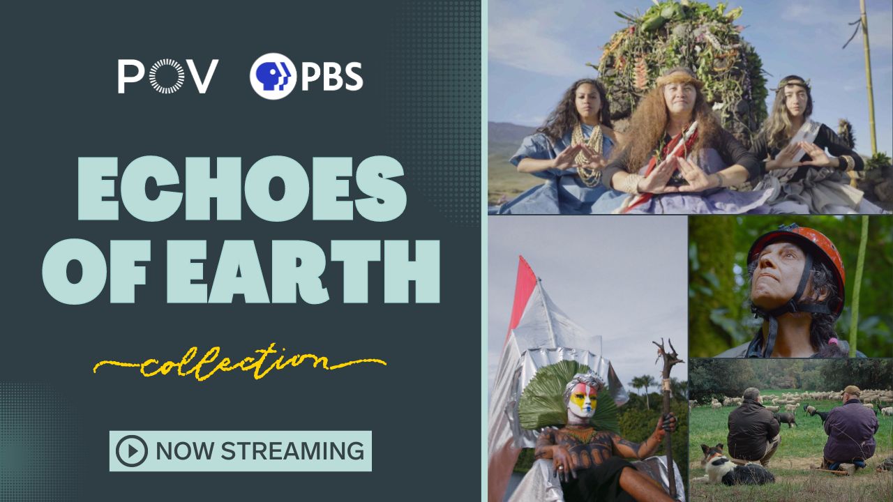 POV Echoes of Earth