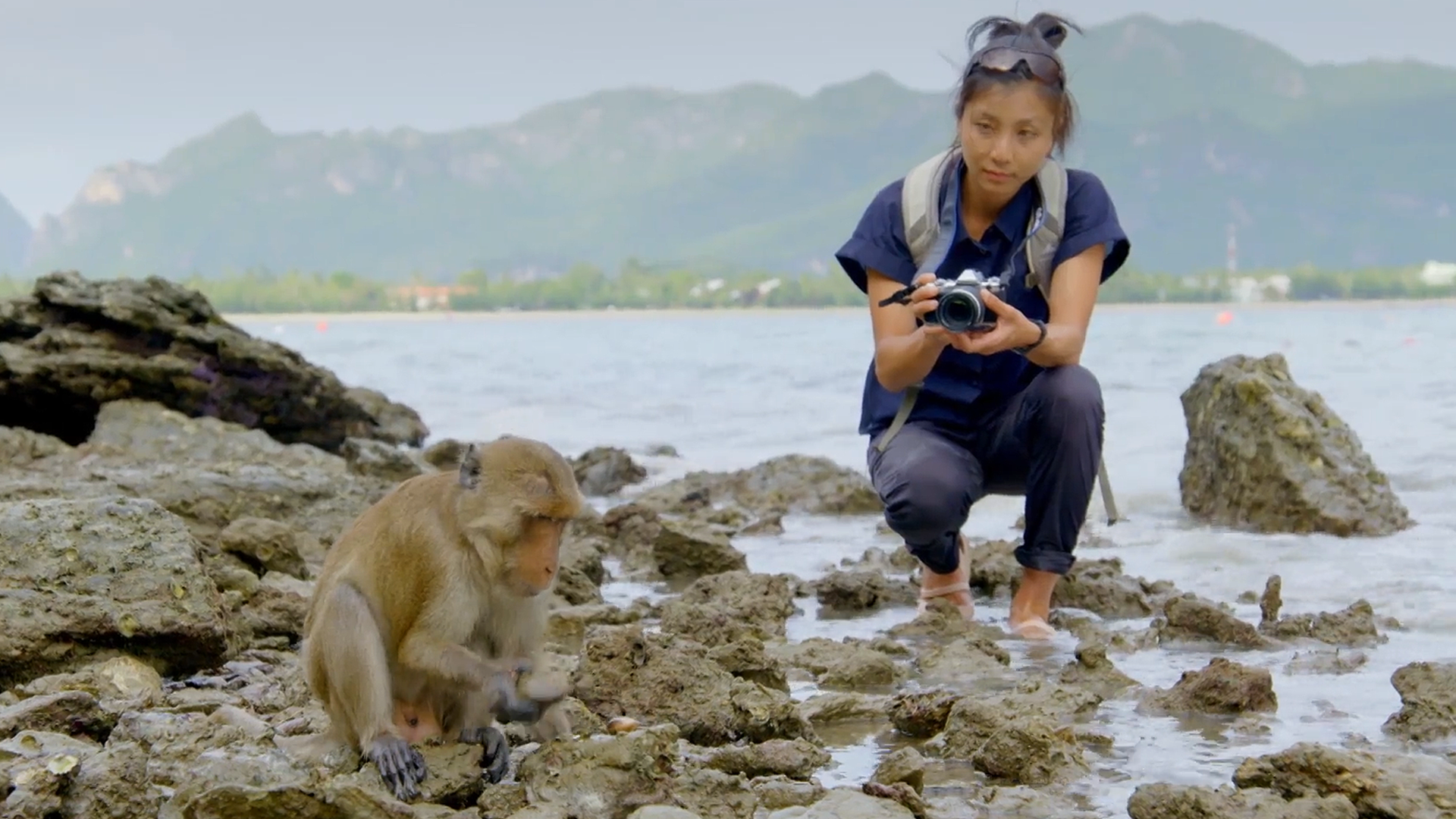 Primates: A Nature Miniseries