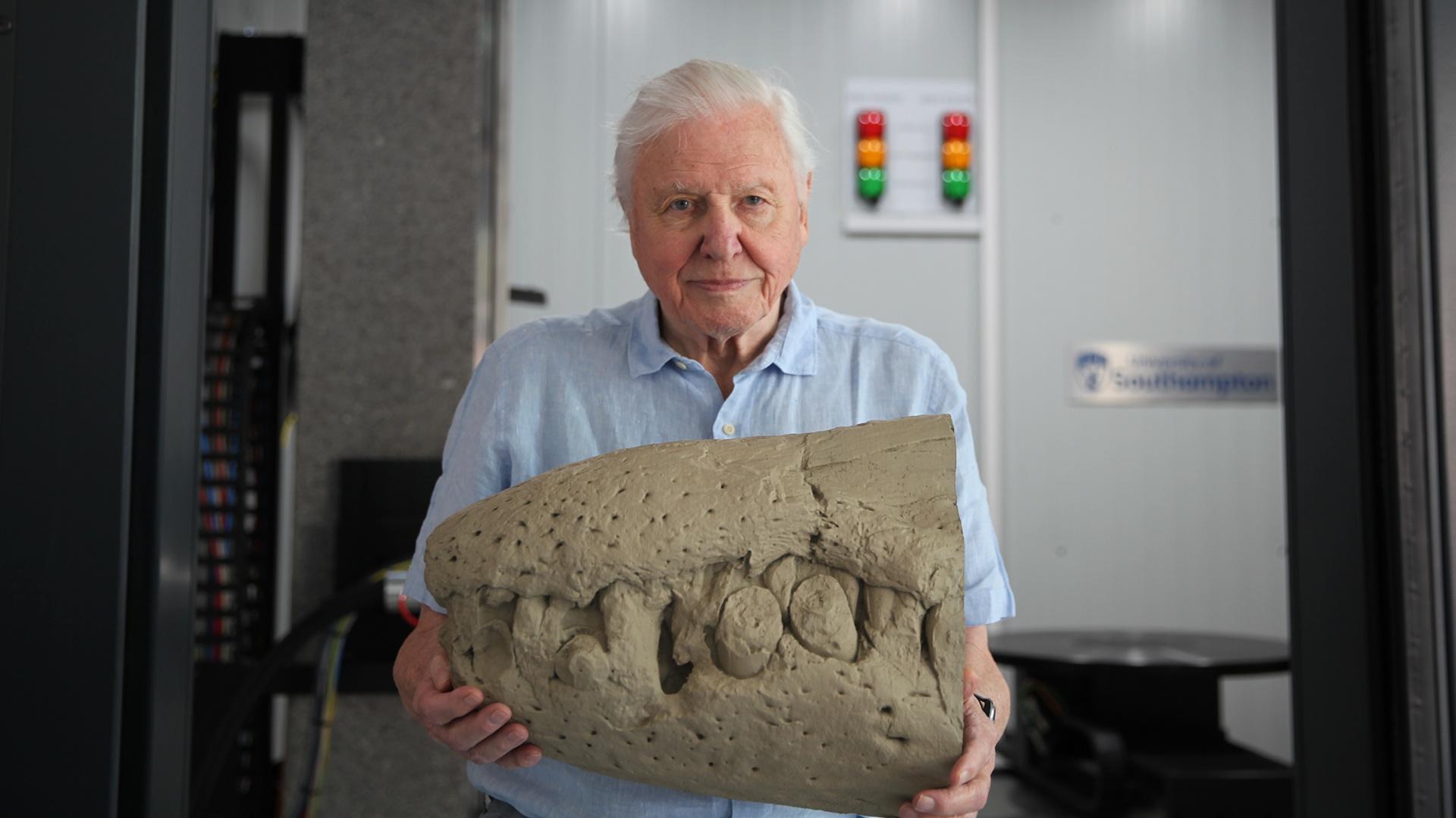 Nature Attenborough and the Jurassic Sea Monster