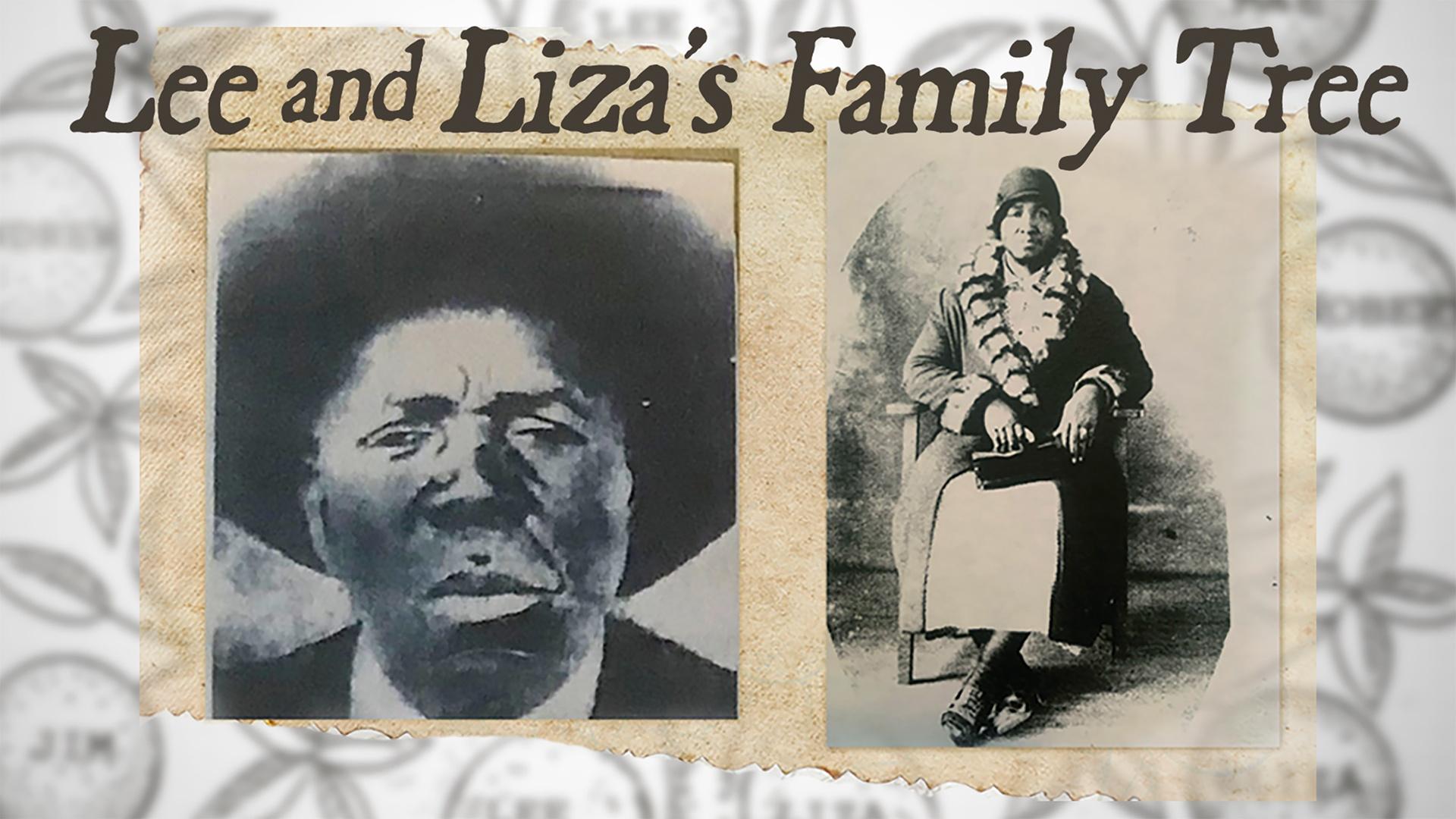 NOVA Lee and Liza Family Tree