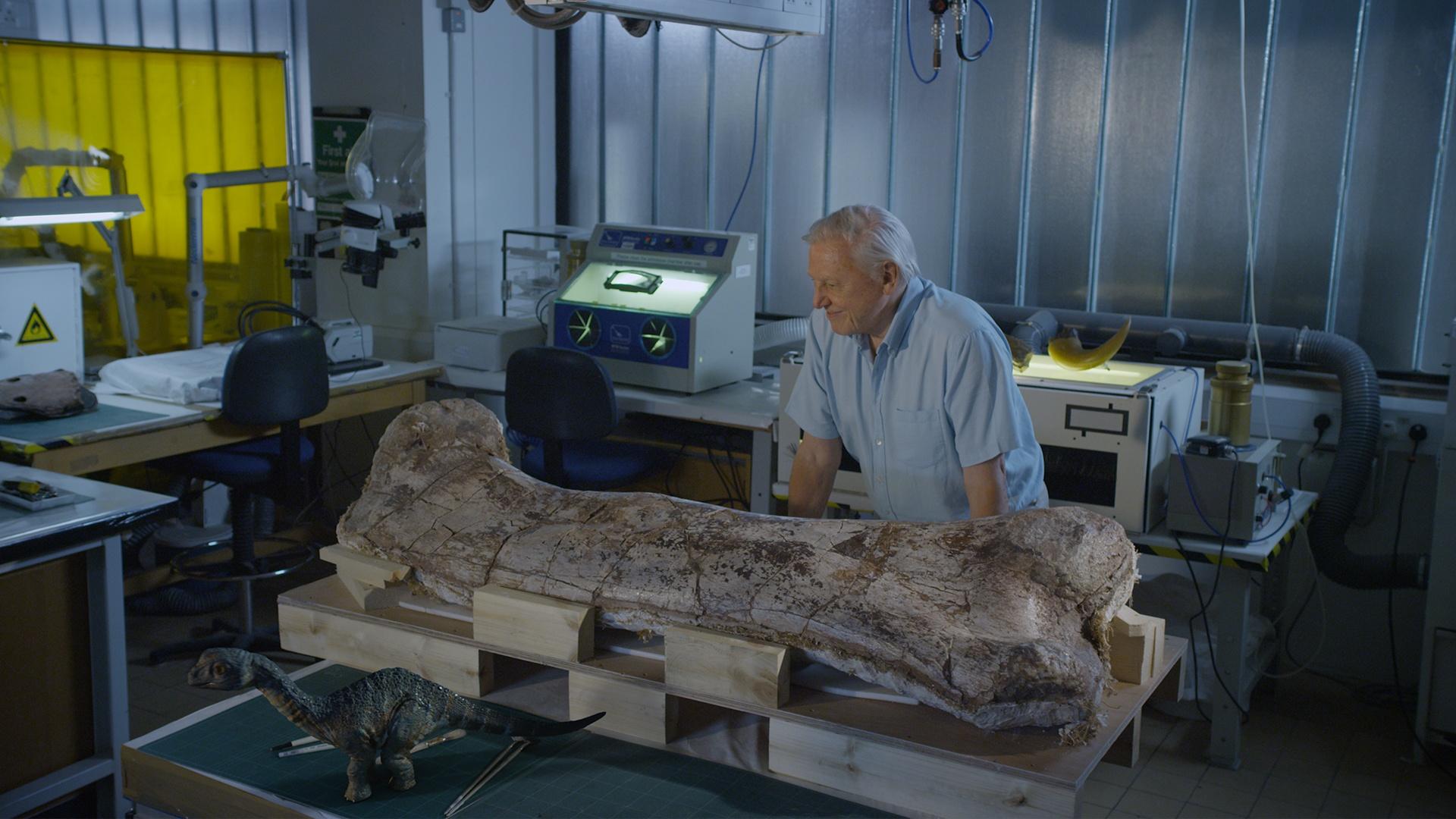 NATURE Museum Alive with David Attenborough