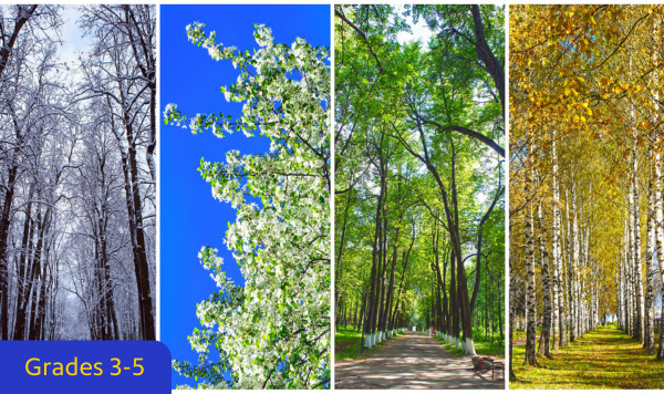 Seasonal Temperature Variations