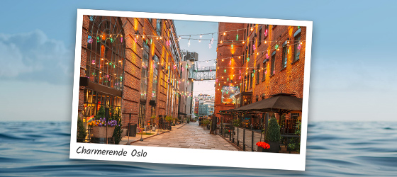 DEJLIGE OSLO