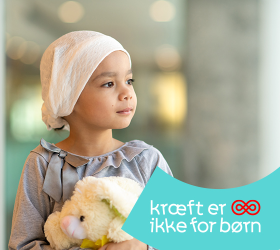 Book et MiniCruise og støt