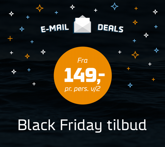 BLACK FRIDAY EMAIL DEALS