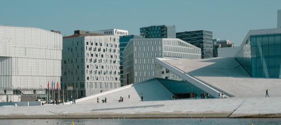 Bjørkvika