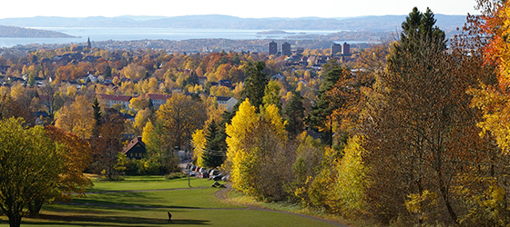 Tag på skovtur i Oslo