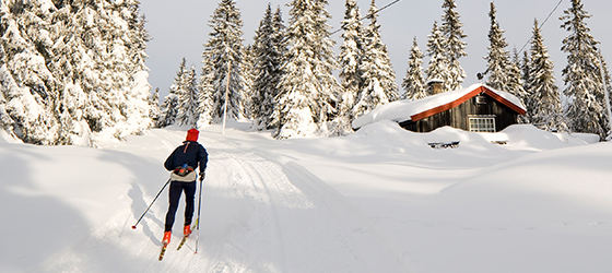FÆRGE + SKI=PAKKELØSNING