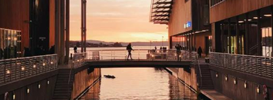 EFTERÅRSHYGGE I OSLO