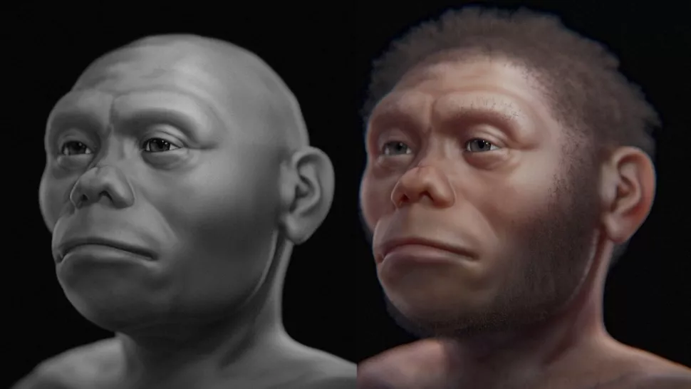 Researchers used digital scans to create the final images of the hobbit. 