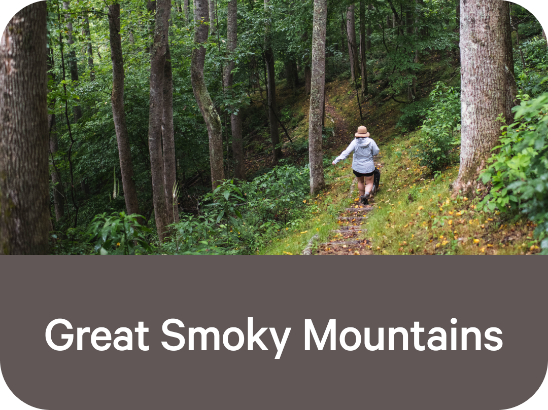 Great Smoky Mountains