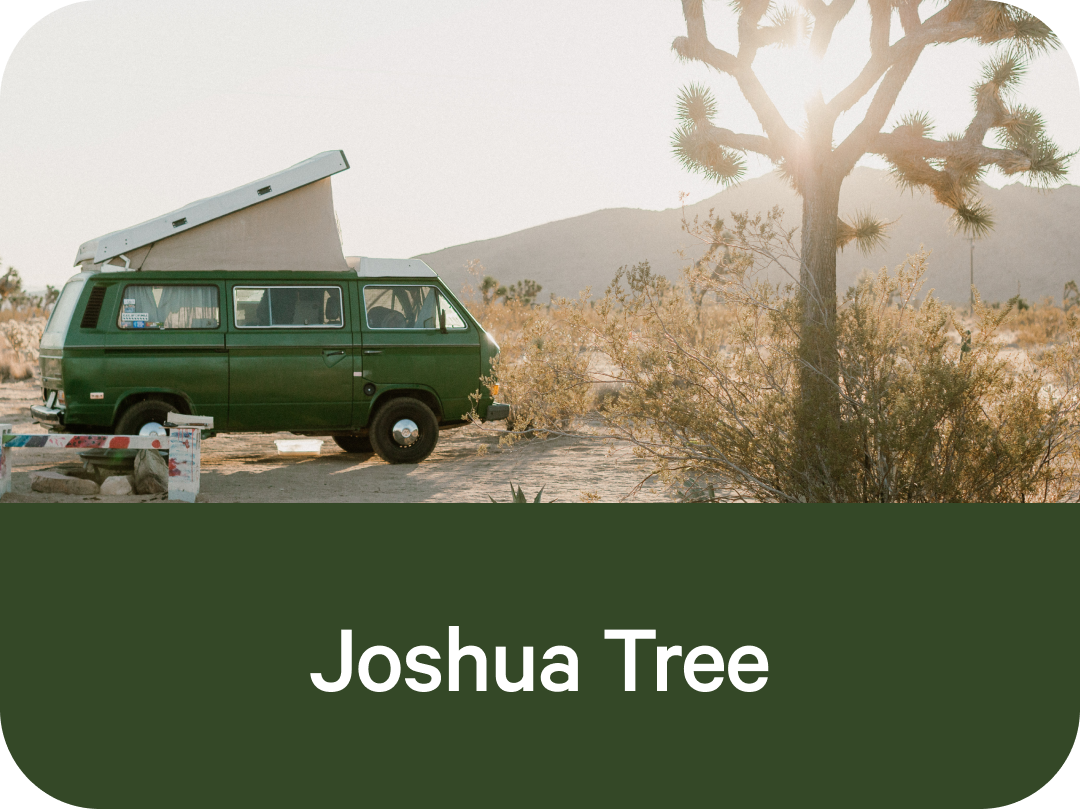 Joshua Tree