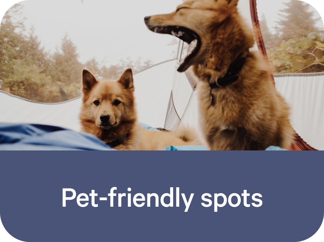 Pet-friendly spots