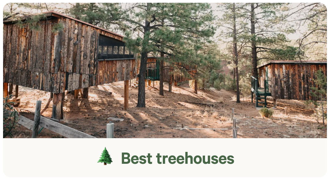 Best treehouses