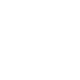 Twitter social icon