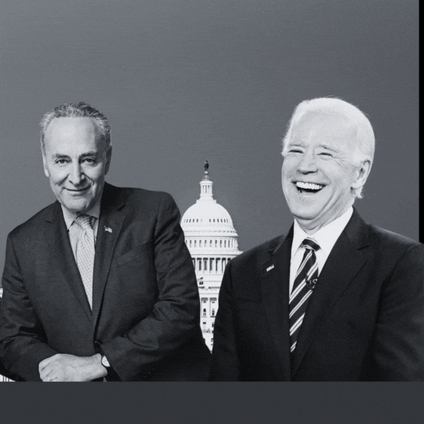 Dem Kids Law Graphic