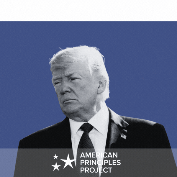 APP Terry & Bannon Graphic