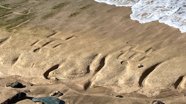 500-year-old petroglyphs resurface on Hawai’i beach | Popular Science