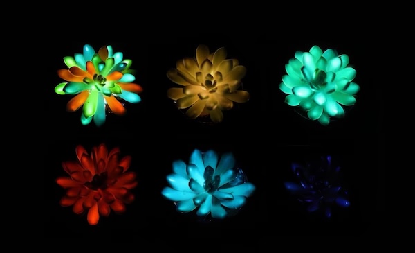 Glowing plants could replace street lamps in future cities | Earth.com