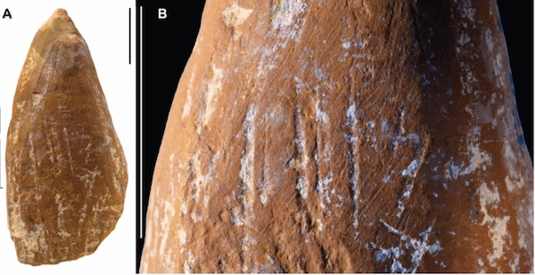 Wear marks suggest Neanderthals made ocher crayons | Ars Technica