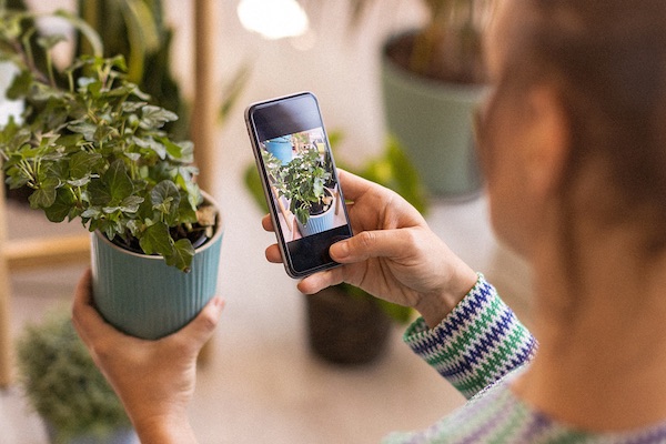 StackSocial - Plants are the new pets. Treat them accordingly. | [Partner] 