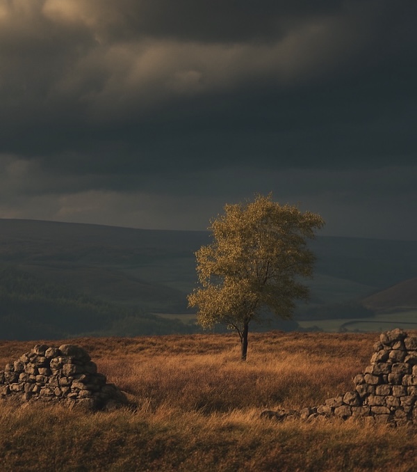 @nay_young on Instagram