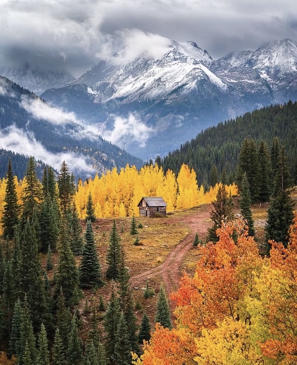 @the_folknature on Instagram