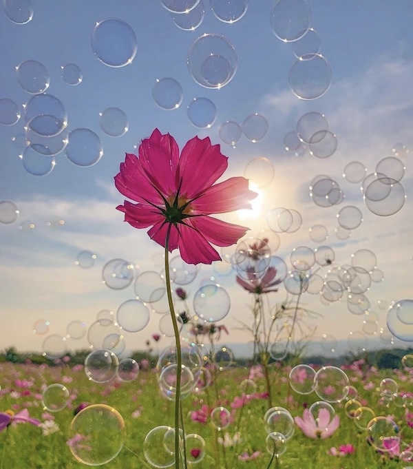 @riyets on Instagram