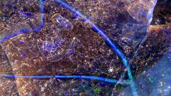 What do you see? 12 extreme close-ups bring 'hidden science' to life | Popular Science