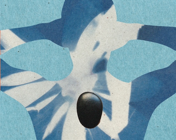 The magic touch: how healthy are massages actually? | The Guardian