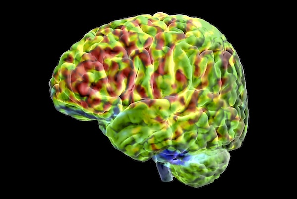 Can ChatGPT help researchers understand how the human brain handles language? | PNAS