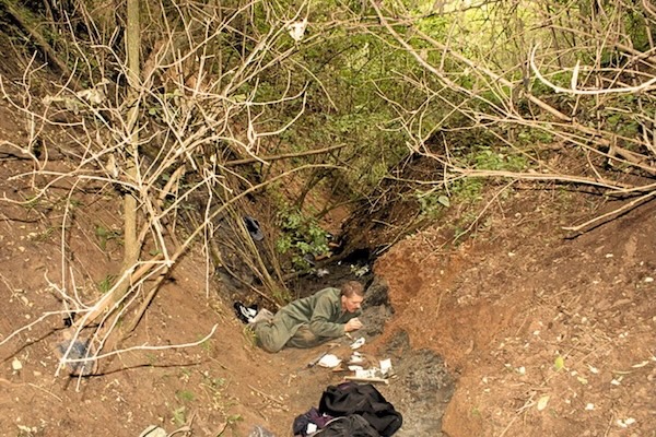 Enormous hoard of black dinosaur bones discovered in Transylvania. That's not all that was found | Discover Wildlife