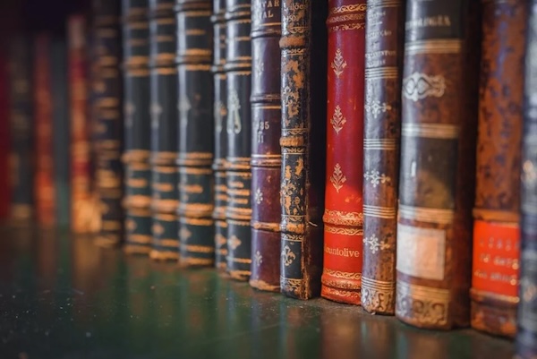 Librarians are tired of being accused of hiding secret books that were made up by AI | Gizmodo