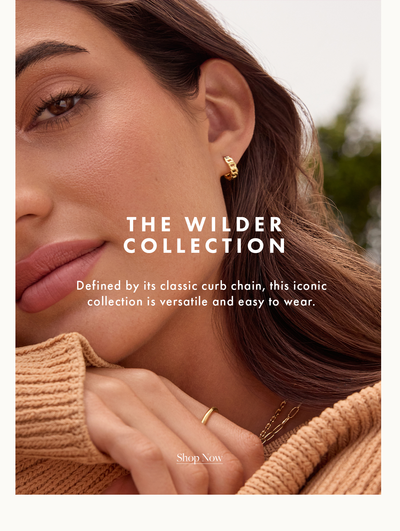 The Wilder Collection