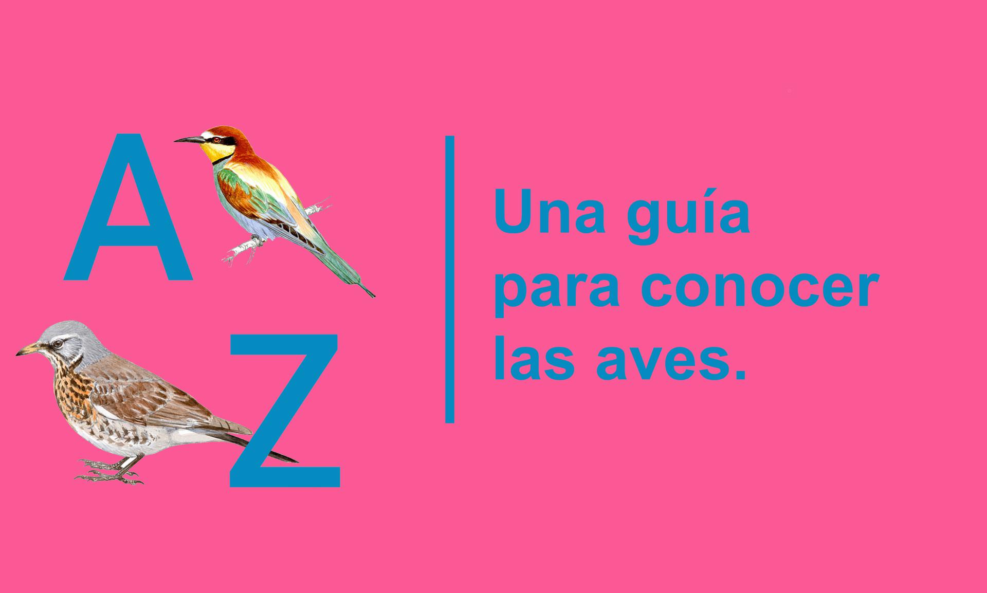 Colabora con nosotros