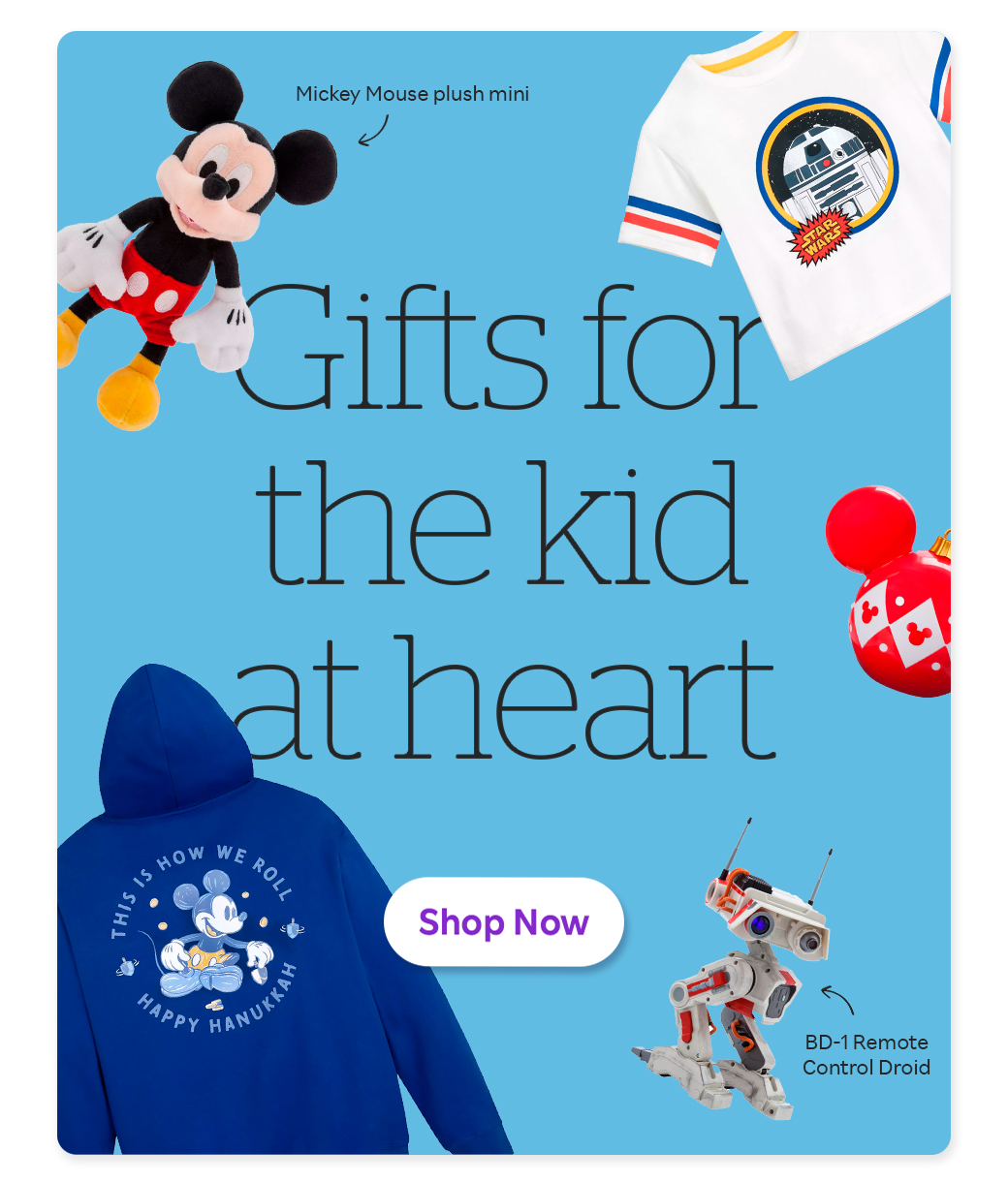 Gifts for the kid at heart