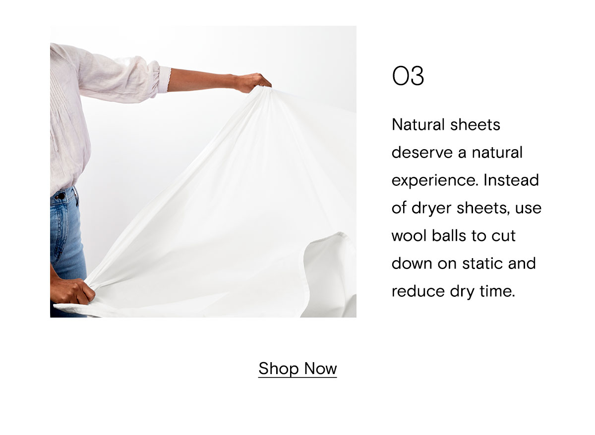 03 | Shop Now